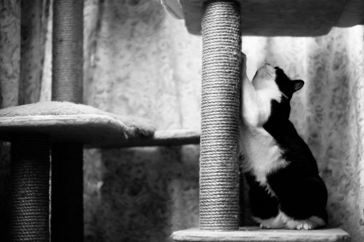 XT1G0774-LB